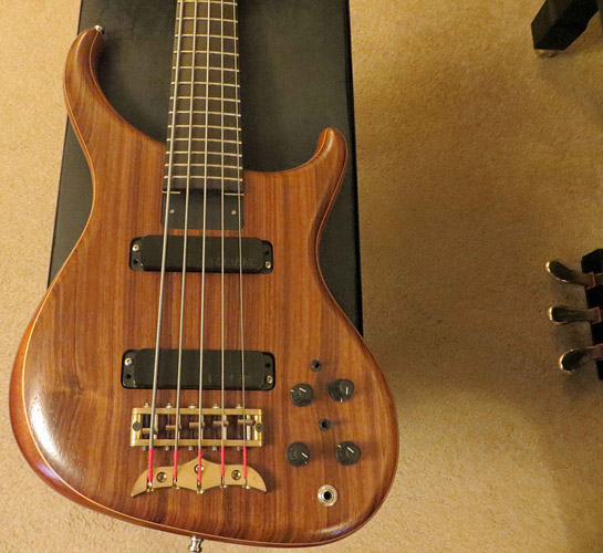Main Body Alembic Orion 5 string