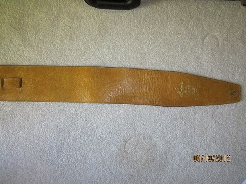 Alembic wide strap