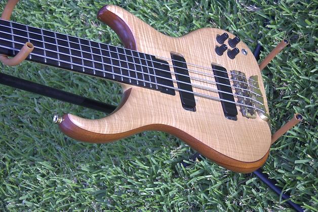 Alembic Orion 5